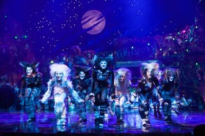 Broadway musicals are the newest addition to the diverse entertainment line-up at Sands Resorts Cotai Strip Macao, with the record-breaking CATS coming to The Venetian Theatre March 6-15. Mandatory credit: Image by Juho Sim
