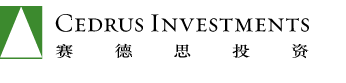 赛德思投资 logo