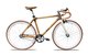 竹子的眾多終端產品之一，種植園資本集團“Boo Bike”（竹製自行車）。