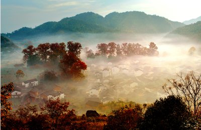 Shicheng Village (the stone city), one of the prime viewing locations of maple foliage in Wuyuan County, China, is embracing the peak season of this year’s fall foliage expected to arrive in early November and last through mid-December.