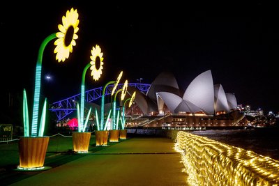 Vivid Sydney 2017, Royal Botanic Garden Sydney, The Sunflowers, credit Destination NSW