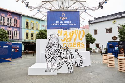 3890 Tigers活动以在新加坡举行的公开展览拉开序幕，旨在提升对虎制品非法交易的认识。图片来源：虎牌啤酒