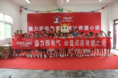 芜湖湾沚希望小学同学们的集体合照