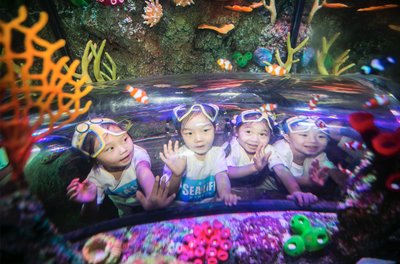 不只是看鱼，重庆海洋探索中心邀你来一“探”究竟！