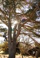 A group of children living in the extreme conditions of outer Finnish Archipelago