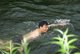 开能环保董事长瞿建国先生亲自下河体验河浜泳道