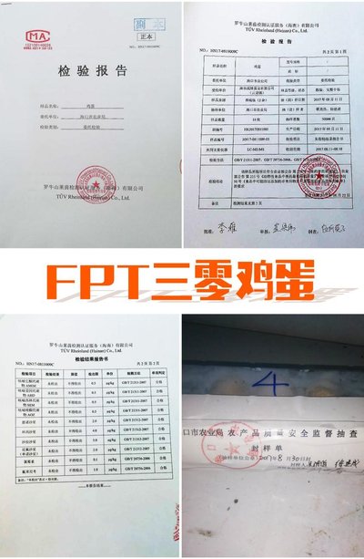 FPT三零生鲜鸡蛋检验报告