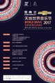 2017天地世界音乐节主视觉海报