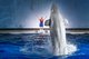 上海长风海洋世界白鲸剧场全新推出《北极历险记》