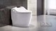荣获2017年美国工业设计IDEA大奖的恒洁卫浴Q9智能一体机
