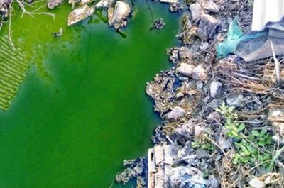 绿瘦联合云南省绿色环境发展基金会发起“守护水源计划”