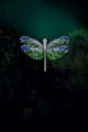 Akachen亚卡珠宝推出品牌经典之作“蜻蜓”系列，透过多种彩宝的运用，营造栩栩如生的蜻蜓姿态与面貌