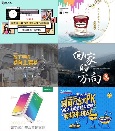 华扬联众2017中国广告长城奖金奖案例