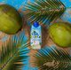 2017饮料市场新变化，椰子水引领天然健康新潮流