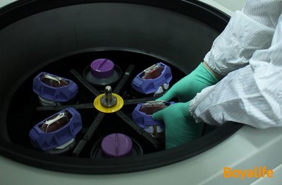 博雅控股集团布局干细胞全产业链