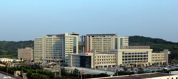枣矿集团医疗集群包括中心医院（三级甲等综合医院），枣庄医院（二级甲等综合医院），滕南医院（二级甲等综合医院）；东郊医院（三级专科医院）。四家医院的医疗水平在鲁南地区处于领先地位，是国内罕见的成规模、成体系的优质集团化企业医院群。