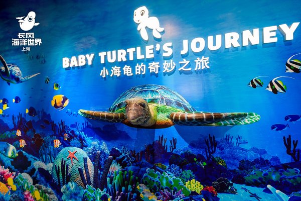 上海长风海洋世界开启全新“化身小海龟 探索大海洋”欢乐之旅
