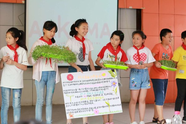 孩子们积极展示“种子的萌发”科学探索项目