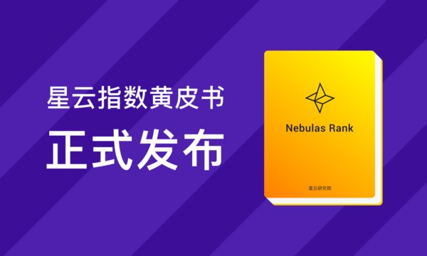 星云指数黄皮书正式发布