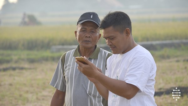 Farmers and Field Officer Using HARA Mobile Application