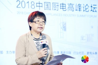 中国家用电器协会副理事长王雷女士 致辞