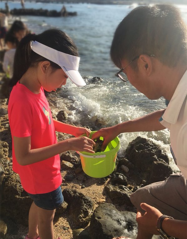 张先生的女儿参与抓螃蟹活动中