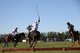 NUO Hotel Beijing Helps Make the 8th British Polo Day China A Galloping Success