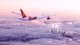 吉祥航空787“中国牡丹”彩绘