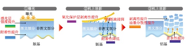 机上显影原理和使用技术