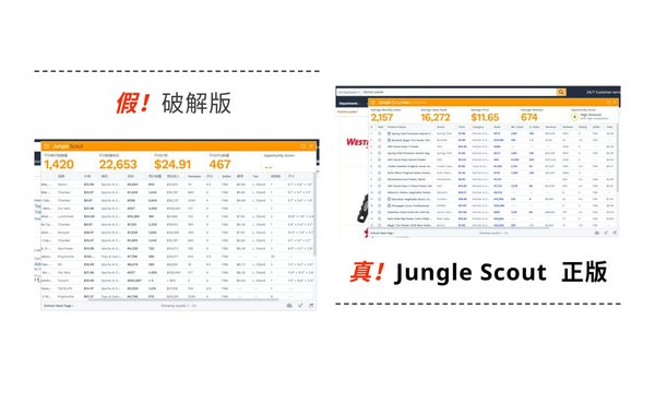 正版 Jungle Scout Chrome 插件 对比 破解版Jungle Scout插件