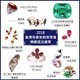 2018“台湾珠宝首饰展览会”精选展品总览。