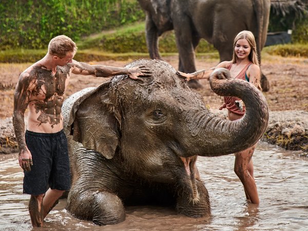 Get down and dirty with The Sumatran Elephants