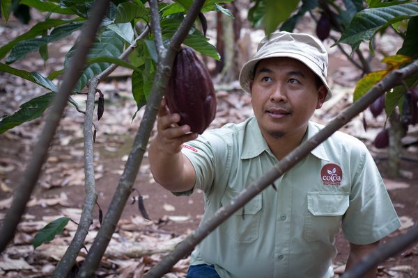 Barry Callebaut says it's working to make more chocolate in Indonesia from beans that are sustainably sourced from local cocoa farmers.