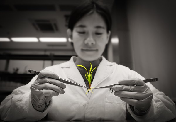 先正达支持植物科学优秀青年女科学家