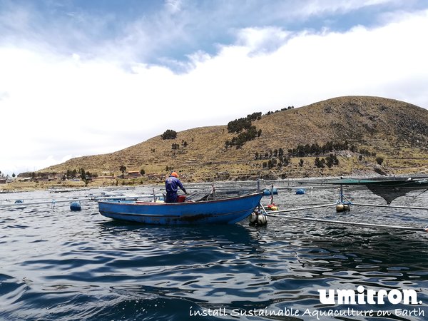A Peruvian farmer checks his fish via boat, similar boat trips and manual feeding operations will be reduced when using Umitron’s automated feeding technology.