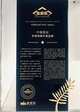 中南商业获得赢商网“年度创新升级品牌”奖