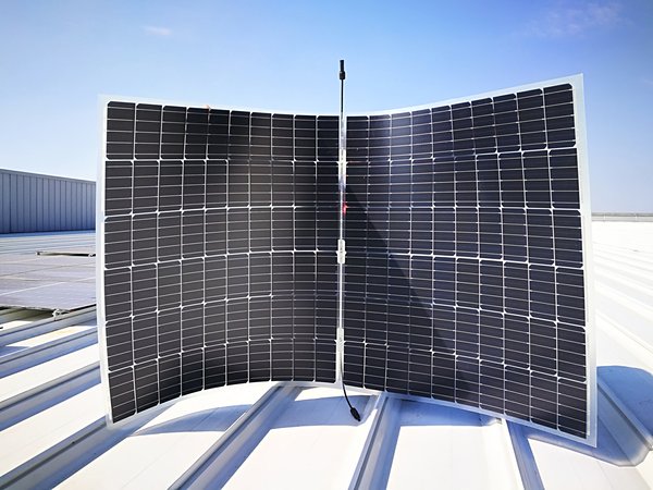 The N-type Monocrystalline High Efficiency Bifacial Paving Module