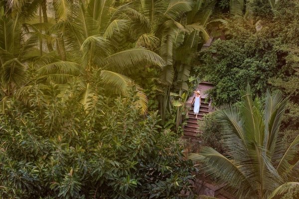 海南雅居乐莱佛士酒店由生机茂密的热带植物环绕