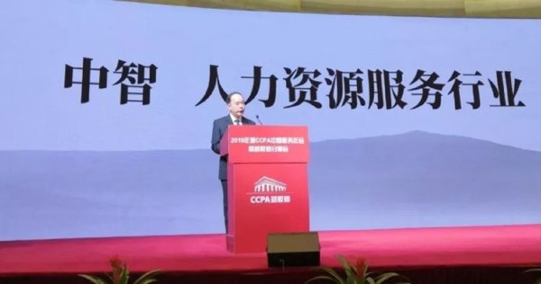 中国国际技术智力合作有限公司党委委员、总会计师王志伟先生做专题讲话