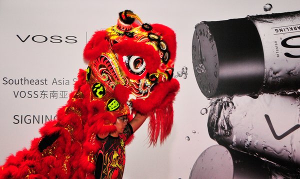 Professional Lion Dance performance at the Calligraphy, Tea Culture and Silk Road Photography event