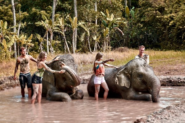 Get down and dirty with the Sumatran Elephants at Bali Zoo
