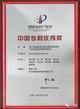中国专利优秀奖证书
