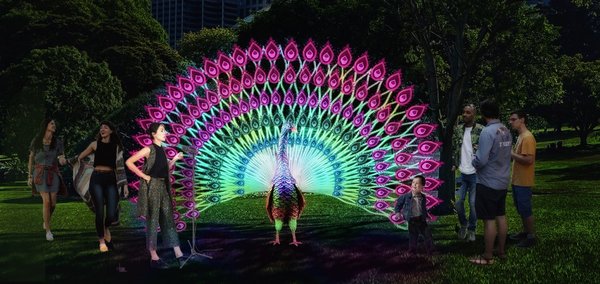 Regal Peacock, Vivid Sydney 2019