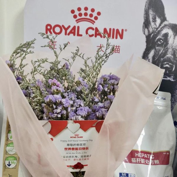 皇家宠物食品携手宠物主，为1000家宠物诊所送上鲜花与感谢卡