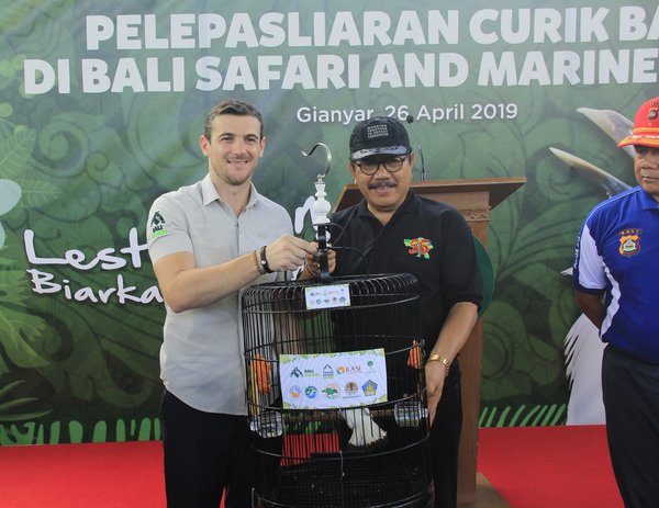 （從左到右）巴厘島野生動物園總經理托馬斯-科爾伯特(Thomas Colbert)和巴厘省副省長佐科爾達-奧卡-阿爾塔-阿達納(Tjokorda Oka Artha Ardana)在長冠八哥放歸野外儀式上（2019年4月26日）。