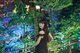 日本模特铃木惠美（Emi Suzuki）在资生堂森林谷《感·知》美境开启感官探秘之旅