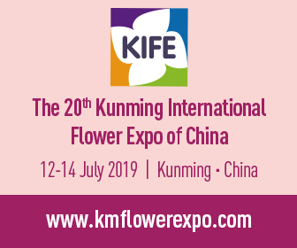 Summer Returns as Flower Lovers Flock to Kunming for the International Flower Expo 2019