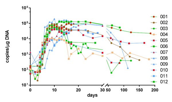 圖2：CT103A擴增和持久性 -- CAR-T回輸後的擴增和持久性。線的顏色表示患者14天的療效評價; 劑量為1(圓形)、3(正方形)、6(三角形)x106細胞/公斤;紅色填充符號表示患者在先前CAR-T治療中失敗。(數據截至: 05/22/2019)