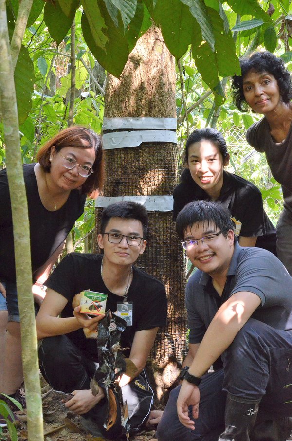 Dr Shyamala (2nd row, far right) in the field with Sunway Final Year Project students, Terence Kok Ju Wei and Ooi Zhuan Hern, collaborator Dr Jactty Chew (2nd row, 2nd from right), and post-graduate student Lai Wai Ling.