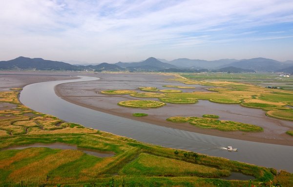 This photo provided by Suncheon City Hall shows the Suncheon Bay Wetland Reserve.